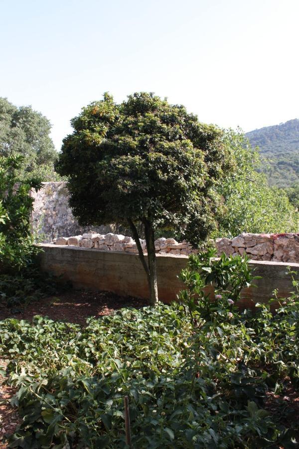 Apartments With A Parking Space Sali, Dugi Otok - 8136 외부 사진