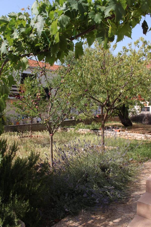 Apartments With A Parking Space Sali, Dugi Otok - 8136 외부 사진
